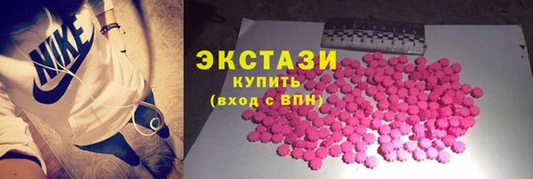 мдпв Богородицк