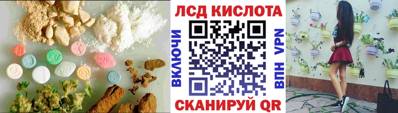 блэк спрут рабочий сайт  где найти   Йошкар-Ола  ЛСД экстази кислота 
