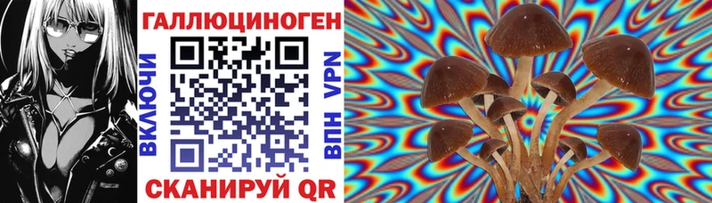 Псилоцибиновые грибы ЛСД  Йошкар-Ола 